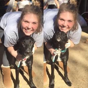 Meet your Posher, Caroline